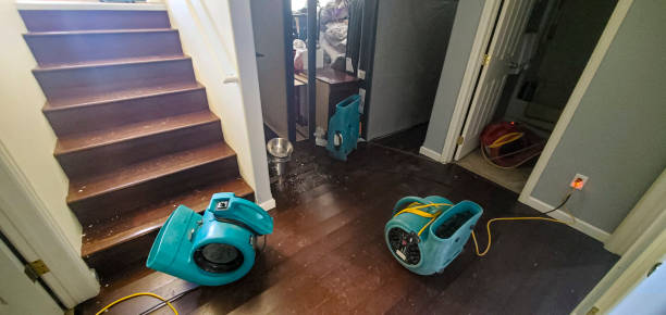 Best Fire Damage Restoration  in Derby, KS