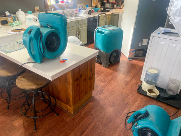 Best Water damage restoration specialists  in Derby, KS