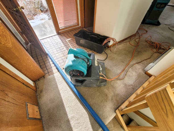 Best Water damage contractors near me  in Derby, KS