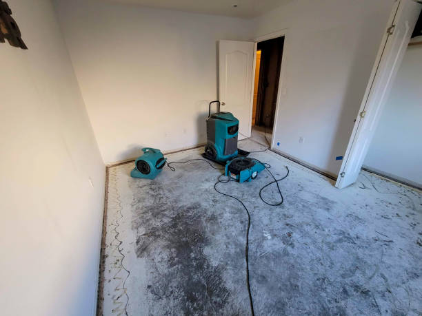 Best Professional water damage repair  in Derby, KS